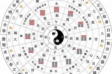 2024年 天干地支|今天农历干支查询，天干地支年月在线查询，今日天干地支是什么…